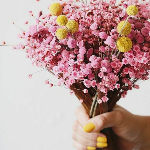 Meet your Posher, Tanya - Picture 1 of 1